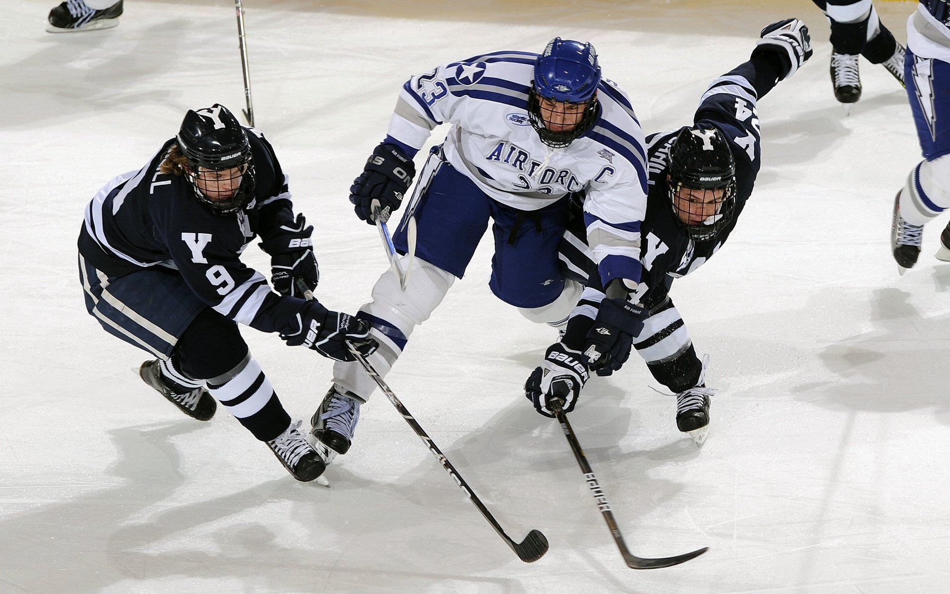 天才少年的崛起，未来之星闪耀赛场，未来之星即将诞生